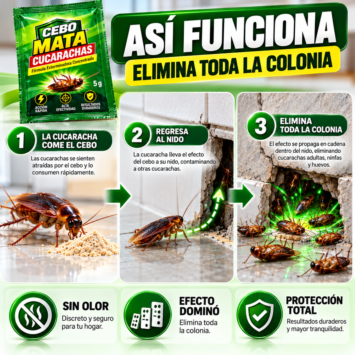 Cebo Mata Cucarachas PACK X 3 Sobres